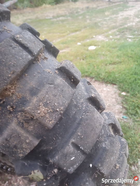 Cagiva 350 w12 akryl Brześć Kujawski