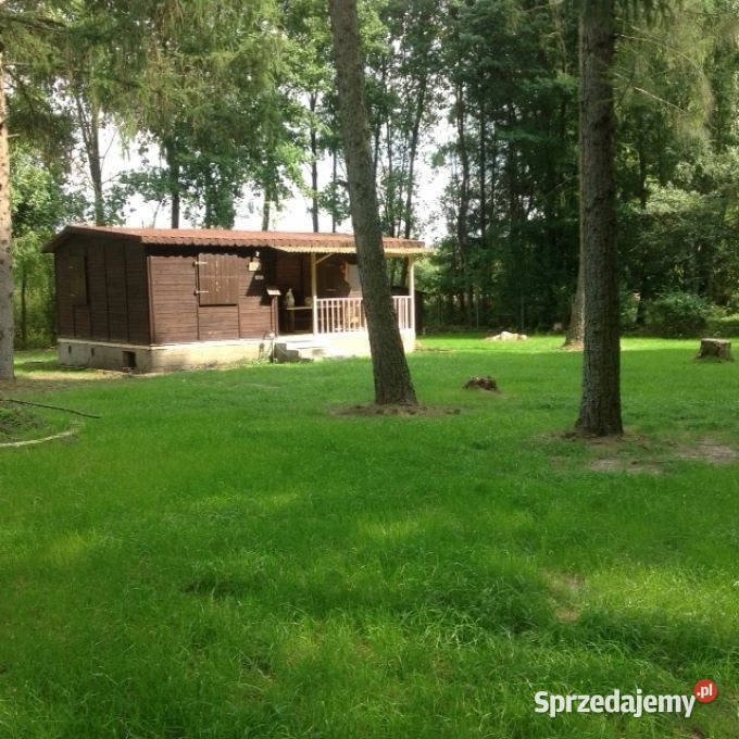 Polkowo gm Stoczek ŁukowskiDziałka rolna 16800m2 0zł/m2 sprzedam