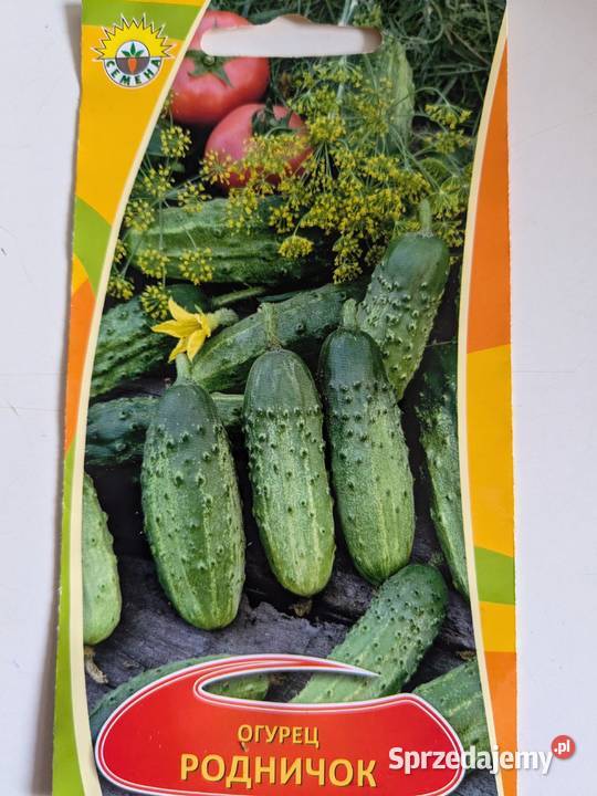 Podniczok PalczikRoznasol Zasolacznyj rosyjskie Kraków