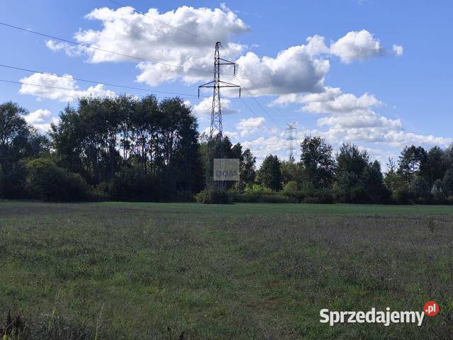 Działka Dobczyn 3153m2 120m