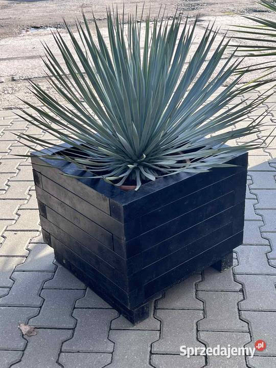 Duża Donica mocna odporna na wode i UV SOLIDNA Warszawa