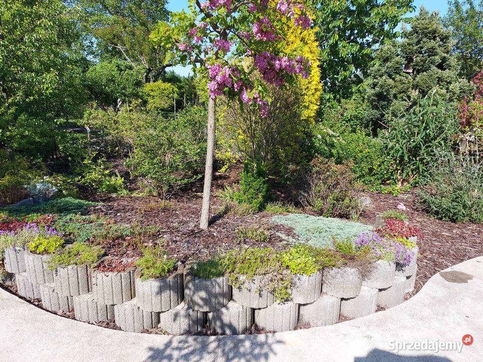 Sprzedam Działkę ogrodową ROD sprzedam