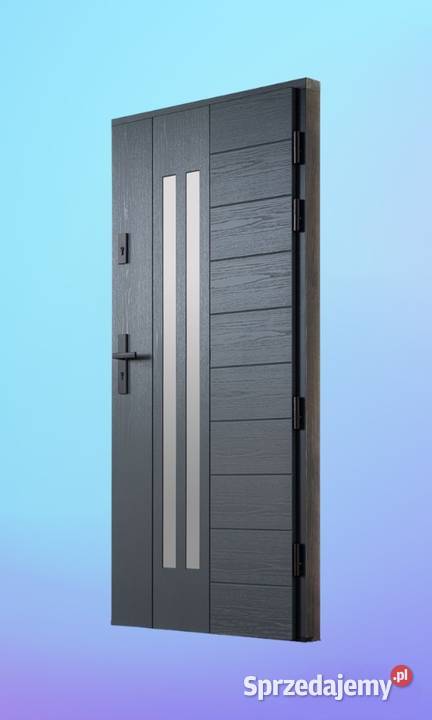Drzwi Zewnętrzne Wejściowe Drewniane CZARNA Toruń