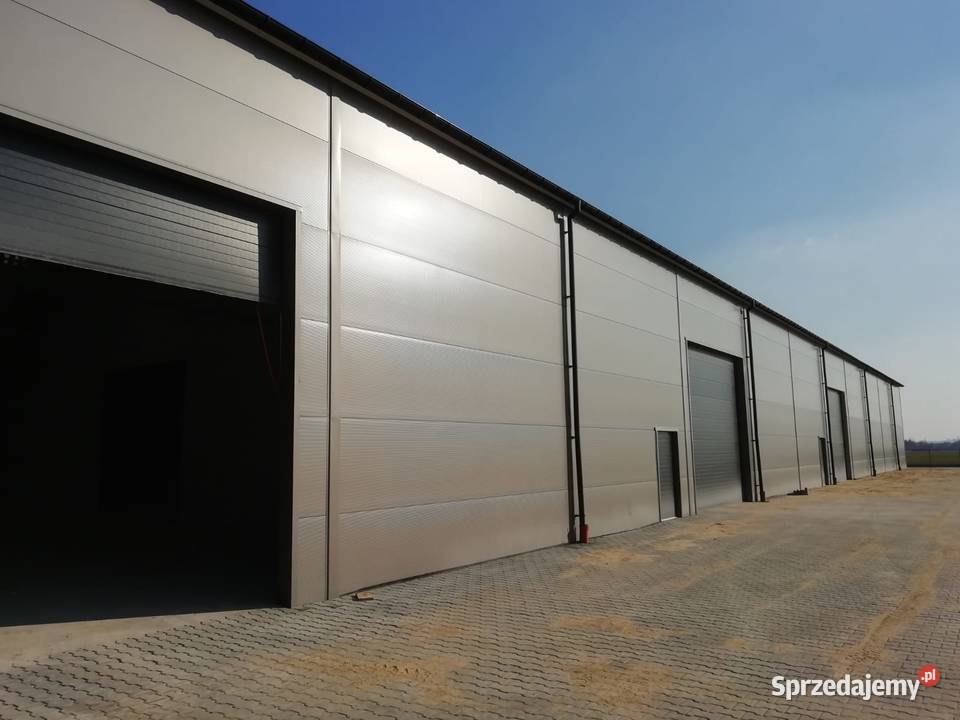 Konstrukcja hali magazynowej Konstrukcja stalowa Czarny Las