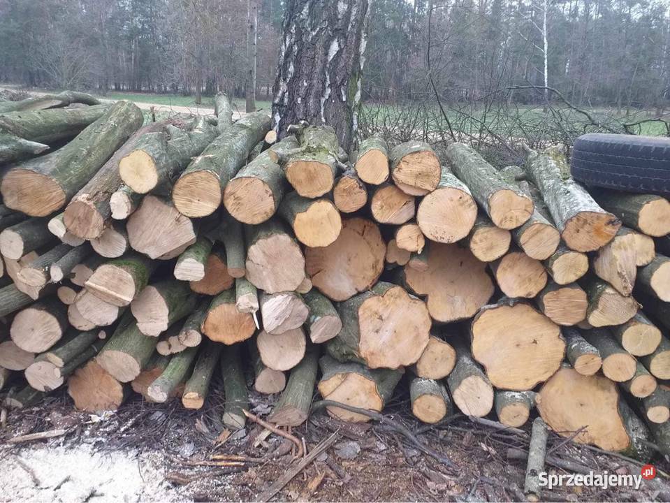 Drewno na opał Opał Łomża