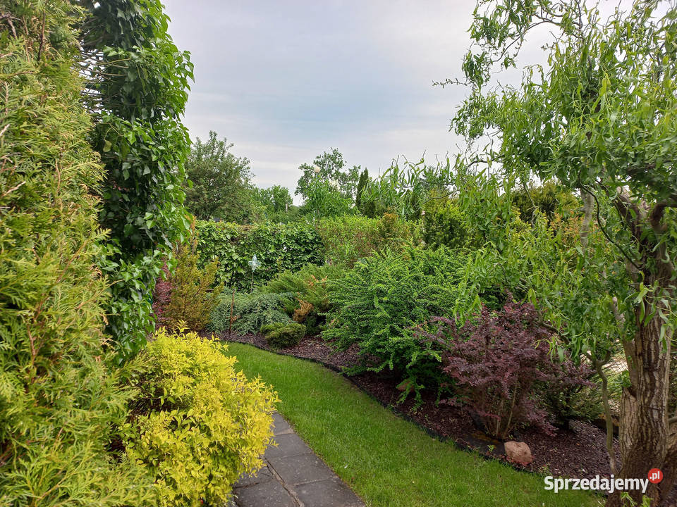 Sprzedam działkę ROD Świętojańska Konin prąd