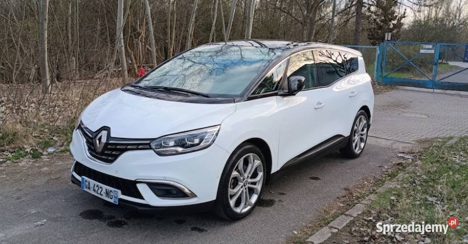 RENAULT GRAND SCENIC Byków
