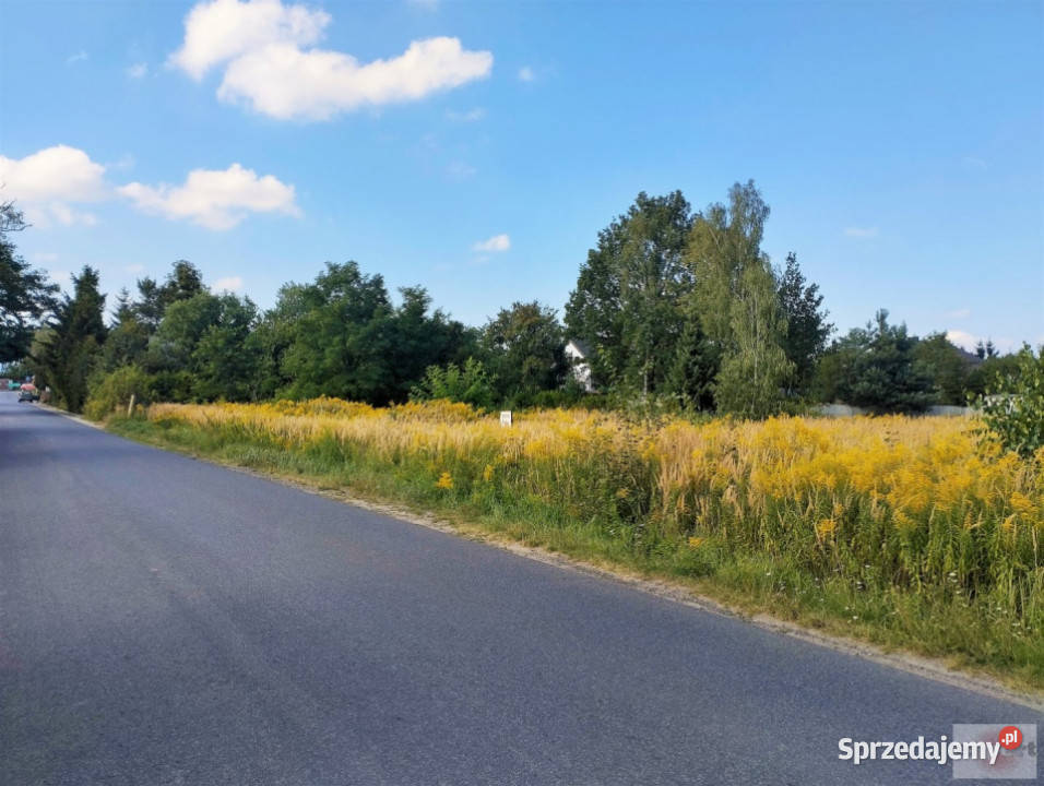 Grunt na sprzedaż 2366m2 Kalonka sprzedam