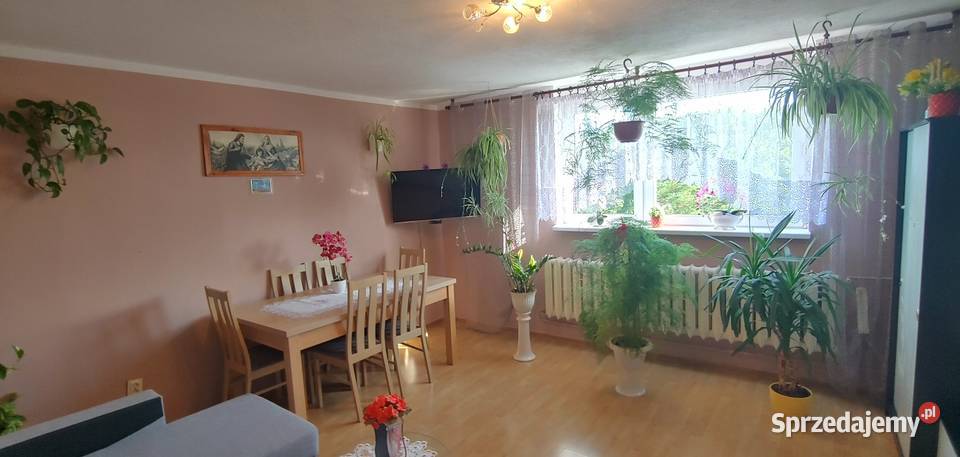 Mieszkanie na sprzedaż Kusice 3 pokoje z Piętro 3