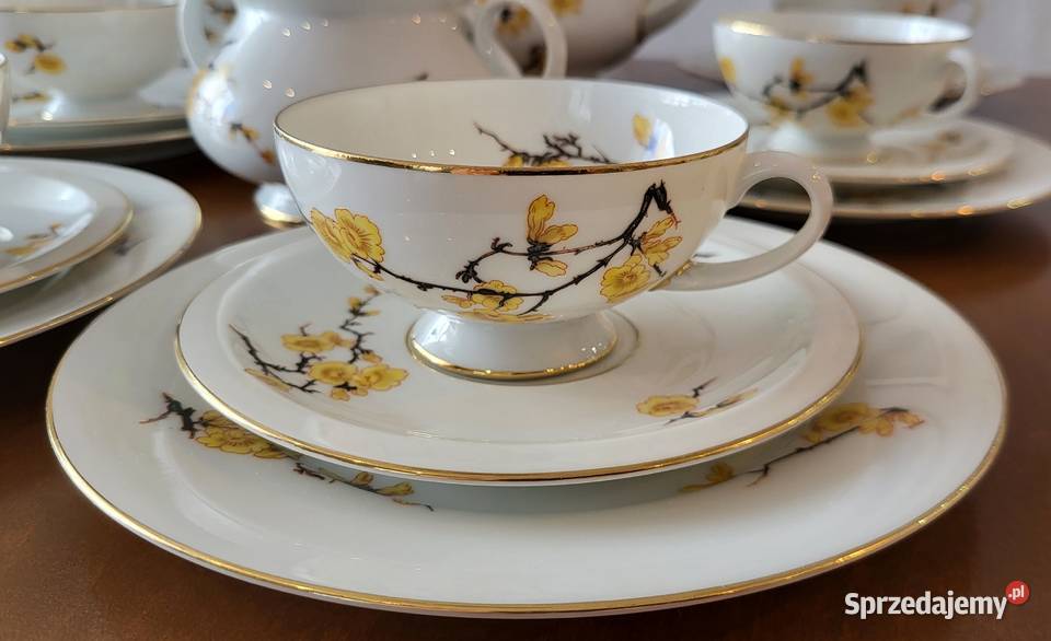 Tettau Bawaria wiekowy serwis do herbaty zachodniopomorskie