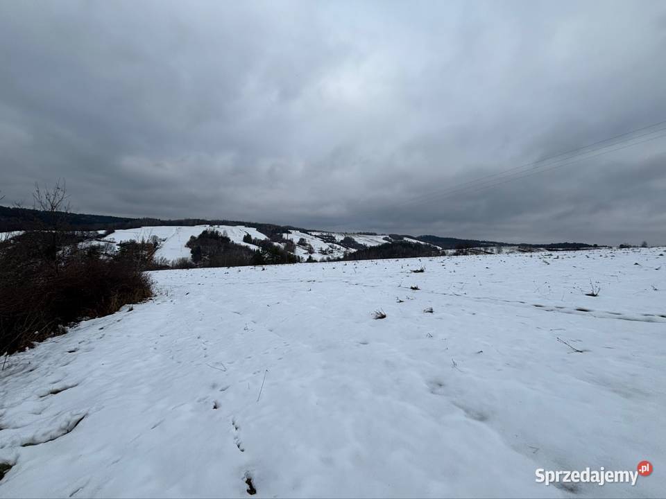 Działka 40 a z warunkami zabudowy Korzeniec sprzedam