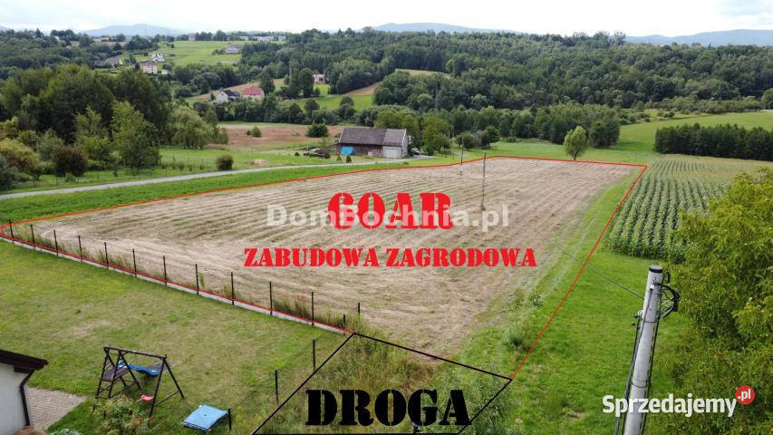 sprzedaży działki Bieńkowice 6000m asfalt sprzedam