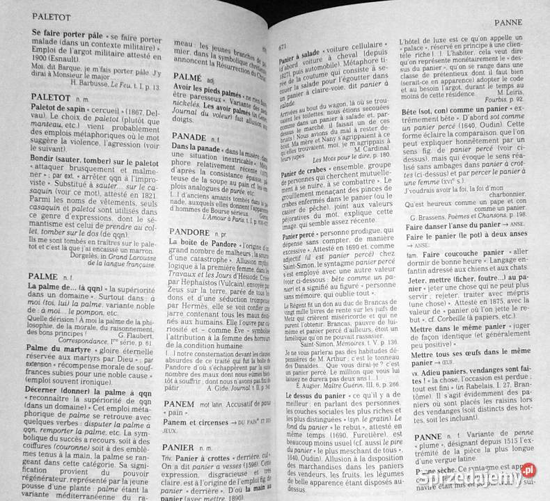 Dictionnaire des expressions et locutions Alain Chełm