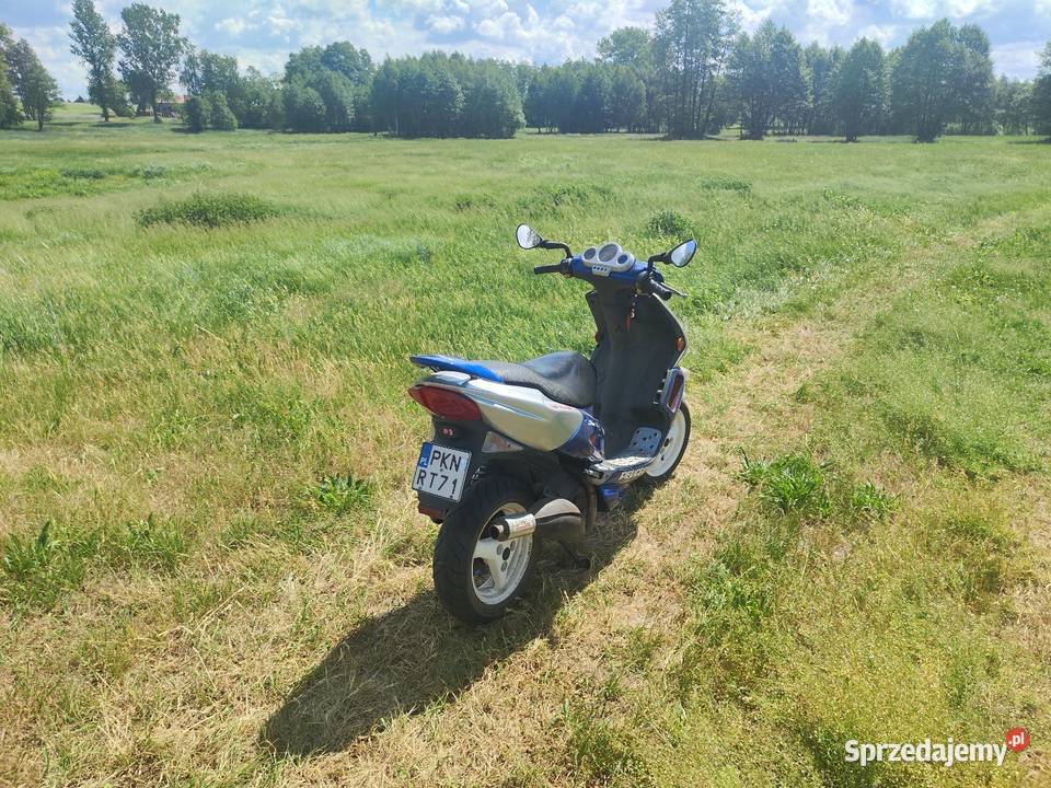 Peugeot Speedfight 100 kupiony w Polsce Morzyczyn sprzedam