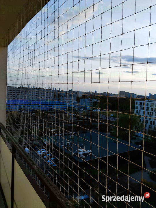 Założenie siatki przeciw ptakom Warszawa Siatka mazowieckie usługi dla zwierząt