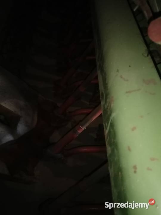 Siewnik podkarpackie Gać