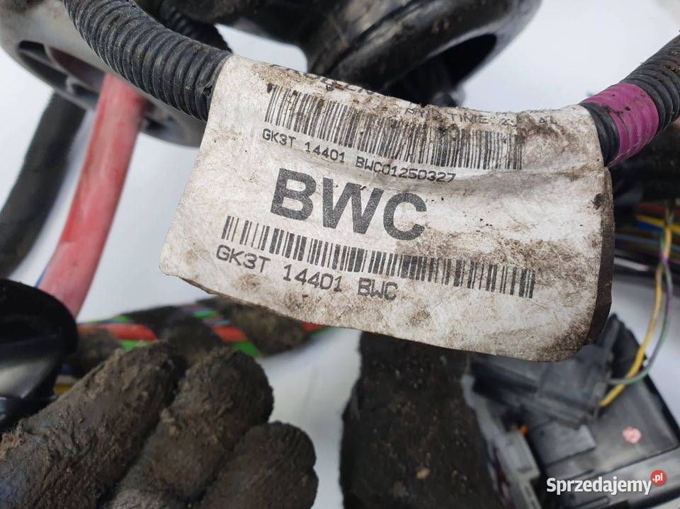 INSTALACJA SILNIKA FORD TRANSIT MK8 GK3T14401BWC kujawsko-pomorskie Lipno