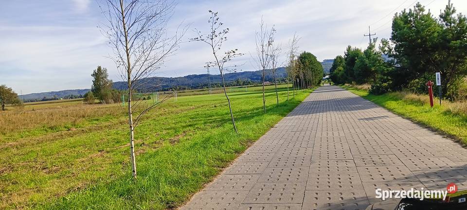 Piękna działka w Chmieleńcu k Luzina Sprzedaż Chmieleniec