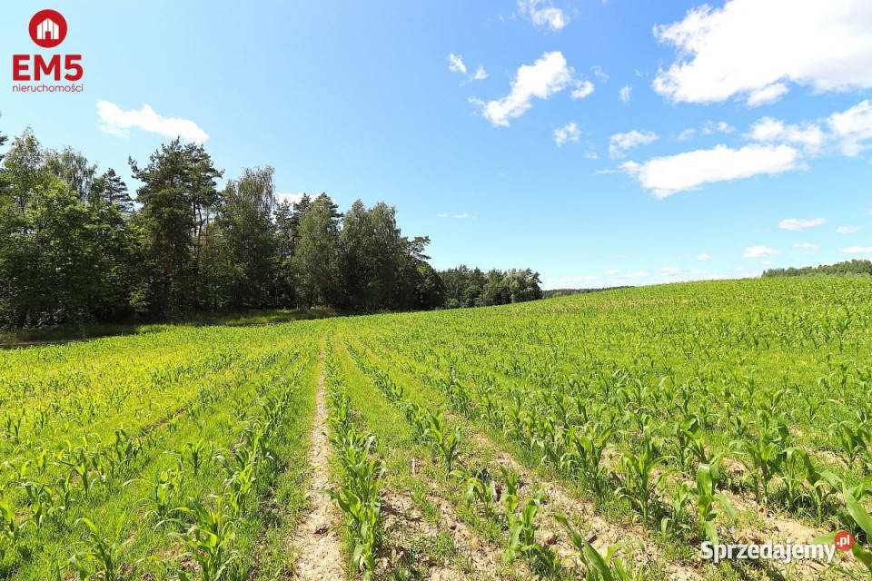 Sprzedam działka 1273m2 Rożyńsk Wielki sprzedam