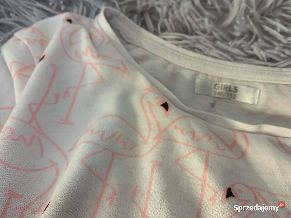 Tshirt koszulka bluzka z flamingami 146152 HIT dziewczynka Jasło