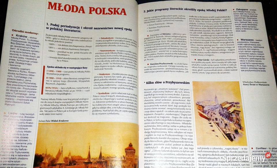 Cogito Język polski 6 Pytania i odpowiedzi lubelskie Chełm sprzedam