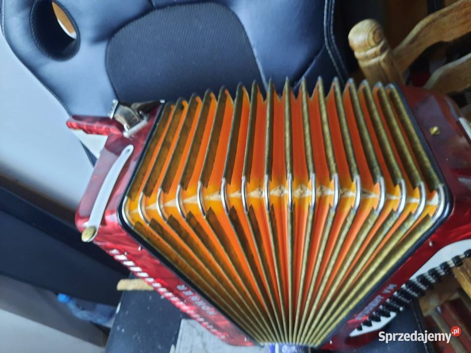 Akordeony cyklop hohner firotti wielkopolskie sprzedam