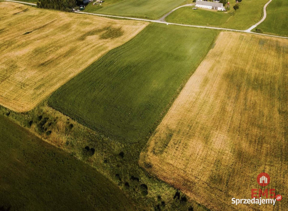 Działka 12000m2 Żegary Nieruchomości podlaskie