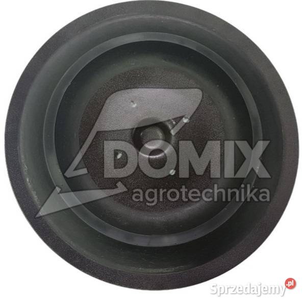 Talerz kroju redlicy Kuhn 300x25mm K3000080 Kawnice