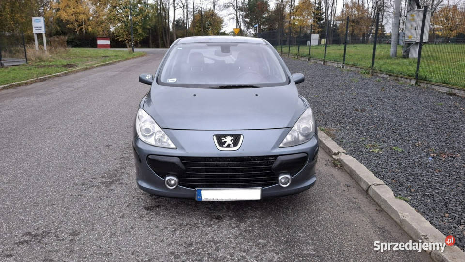 Peugeot 307 Peugeot 307 14 LPG GAZ Klima Pabianice