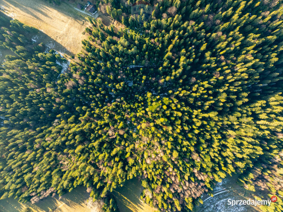 Grunt Harklowa Sprzedaż małopolskie