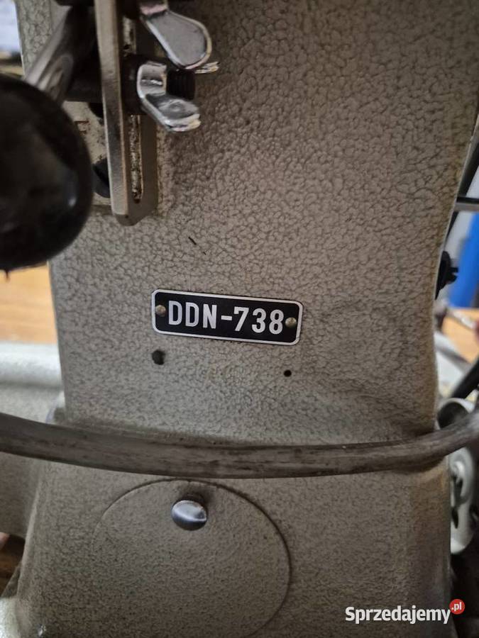 Rymarka praworamienna mazowieckie Warszawa