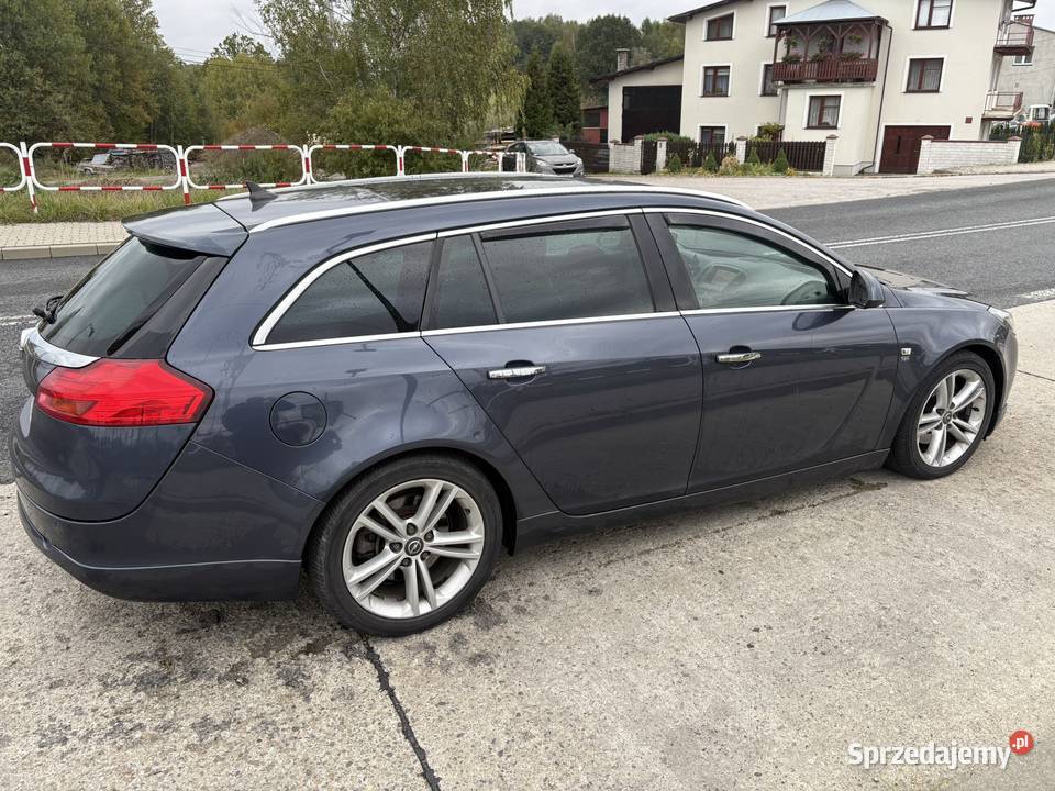 Opel Insignia 2010 20 CDTI 160 Cosmo 372686km Gorlice