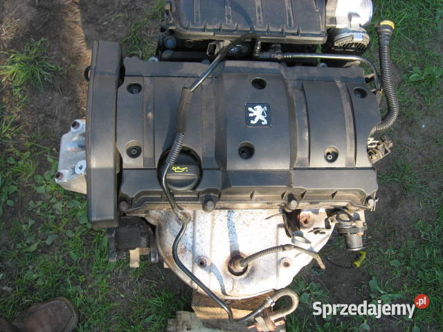 Szyba czołowa Citroen Xara Picasso 2003r Radom