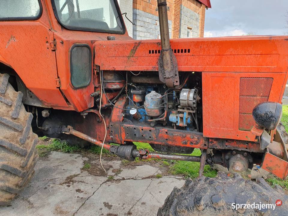 Mtz 82 belarus Ciągniki sprzedam