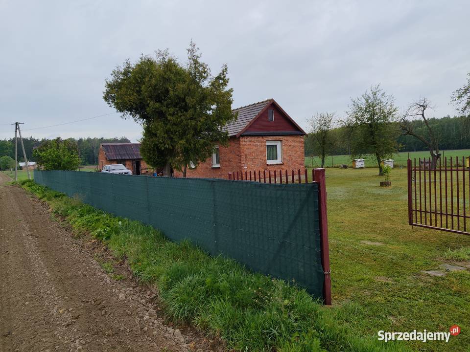 siedlisko na sprzedaz Zieleniec sprzedam