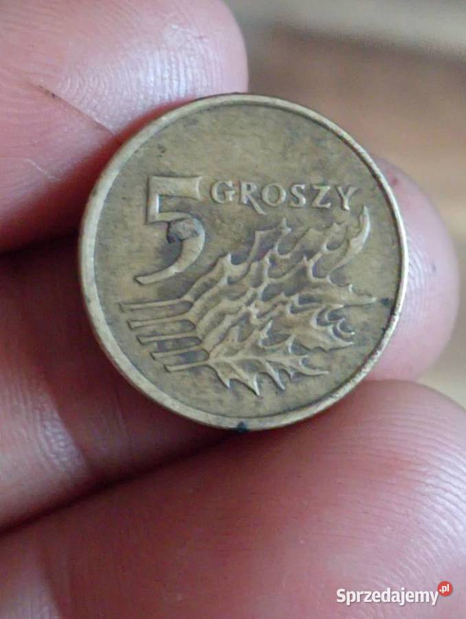 Sprzedam monete 5 groszy 1999 r Antyki, Sztuka, Kolekcje sprzedam