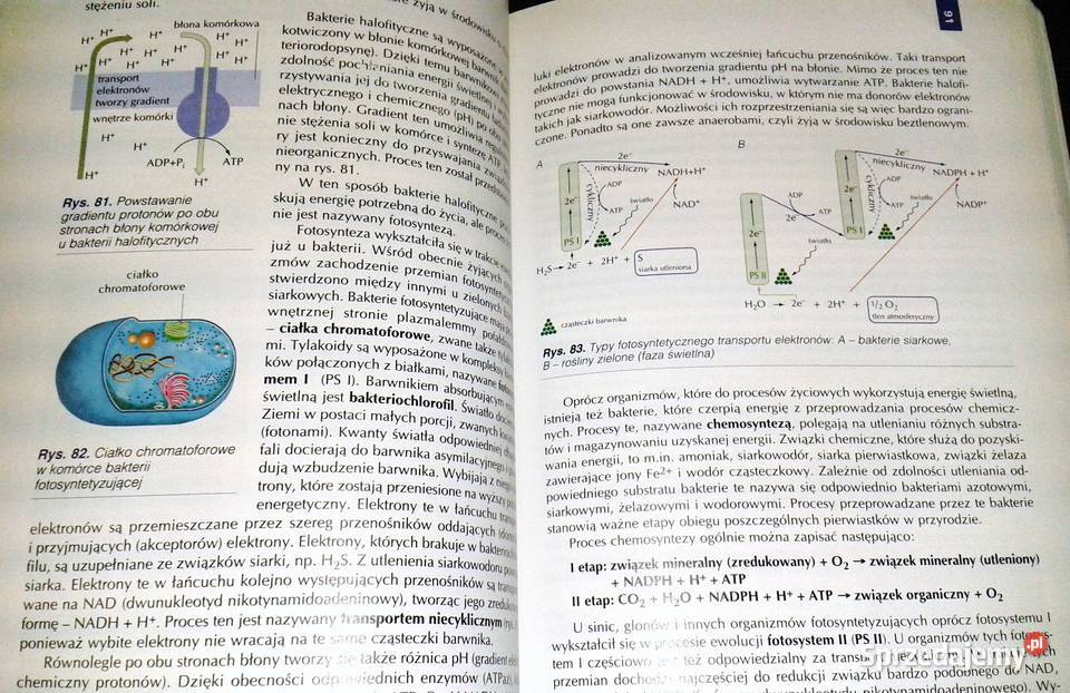 Biologia 1 A Kornaś Z Miszalski M Kłyś R Chełm sprzedam