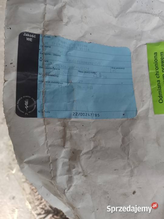 Sprzedam pszenicę konsumpcyjną Opokę i Pszenżyto lubelskie Łuków sprzedam