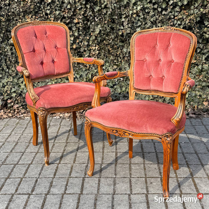 ARTexpert Para foteli Ludwik fotel siedzisko Dobrzany