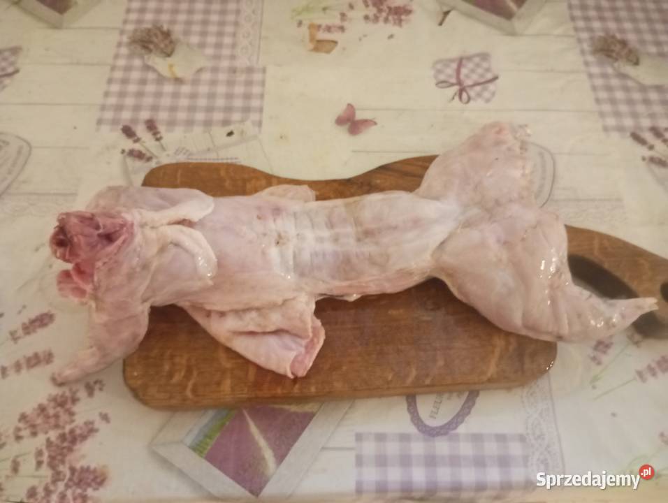 Tuszki z królika Krasnystaw