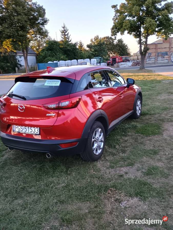Sprzedam Rok produkcji 2019 Samochody osobowe Gostyń
