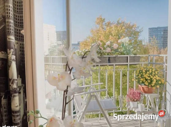 Piękne studio kawalerka w centrum Warszawa