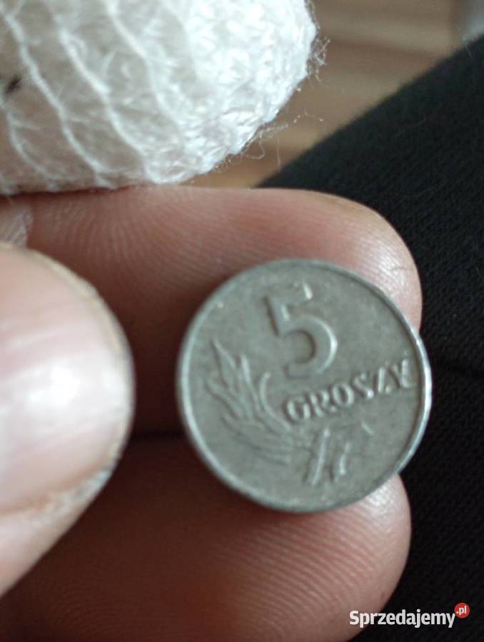 Sprzedam 5 gr 1961 r bzm lubelskie Chełm