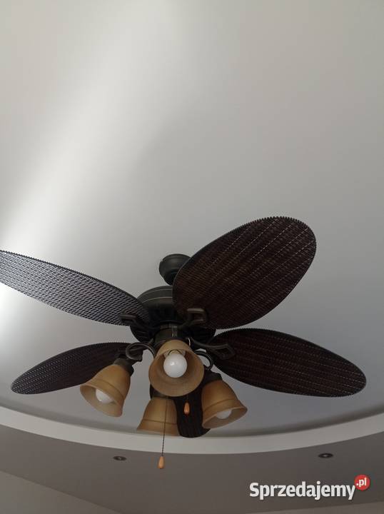 Wiatrak lubelskie Rożki