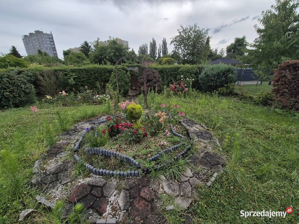 Usługi ogrodnicze Wertykulacja Aeracja Katowice