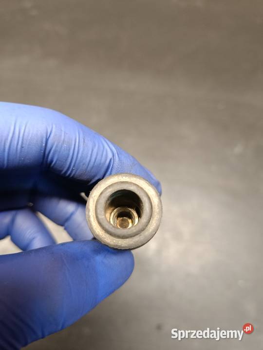 Fajka NGK cewka WN zapłonowa iskra części Derbi Gołaczewy