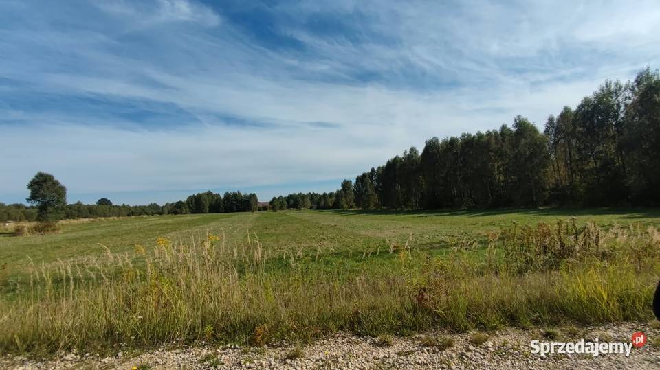 Wydźierżawie teren inwestycyjny śląskie Rudnik Wielki