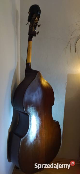 Kontrabas 44 Pyton z Filharmonii Lwowskiej świętokrzyskie Jędrzejów