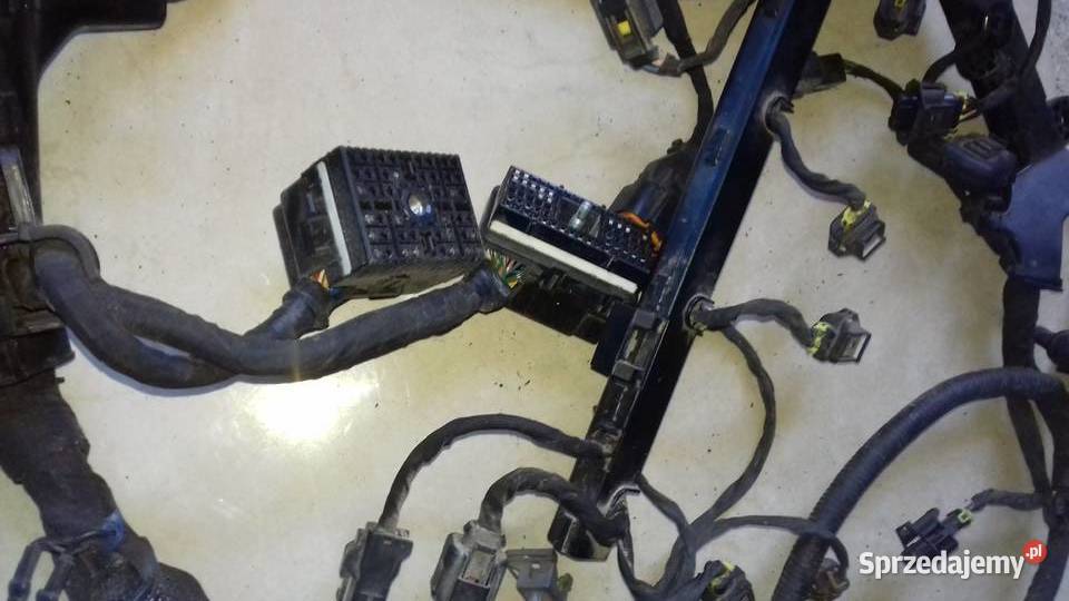 Wiązka silnika 914202L072 kia ceed 16 crdi 0612 Jaworzno