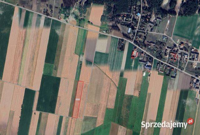 Działka rolna 102 ha Gostkowo gm Obryte